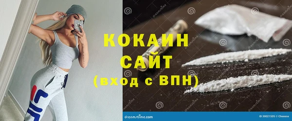 кокс Инсар
