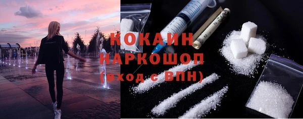 тгк Инта
