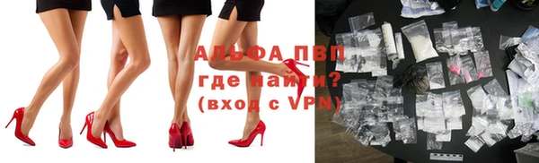 тгк Инта