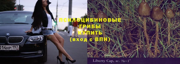 кокс Инсар
