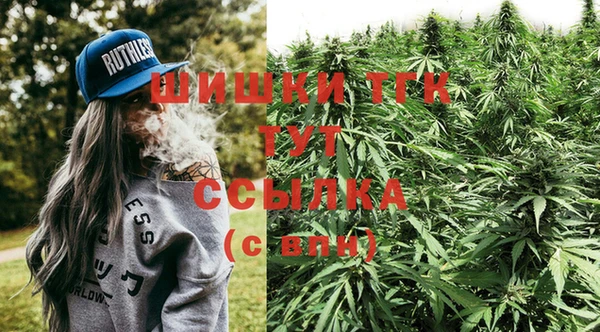 тгк Инта