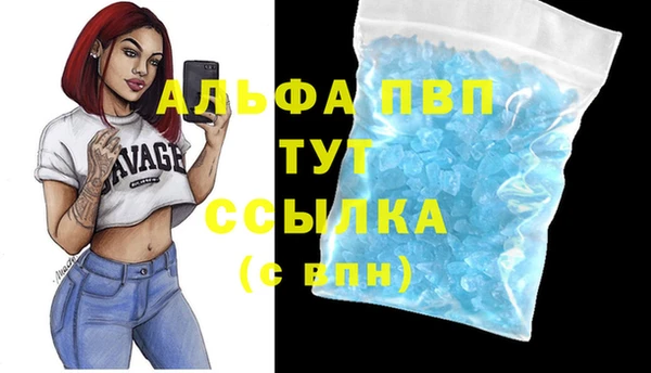кокс Инсар